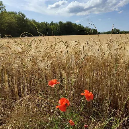 Avec Grand Parking Privé -calme Et Sérénité Casa vacanze Chevincourt